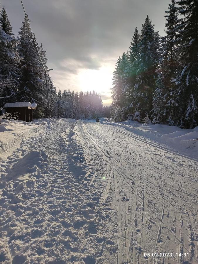 Nordgards Hagen Lägenhet Lillehammer Exteriör bild