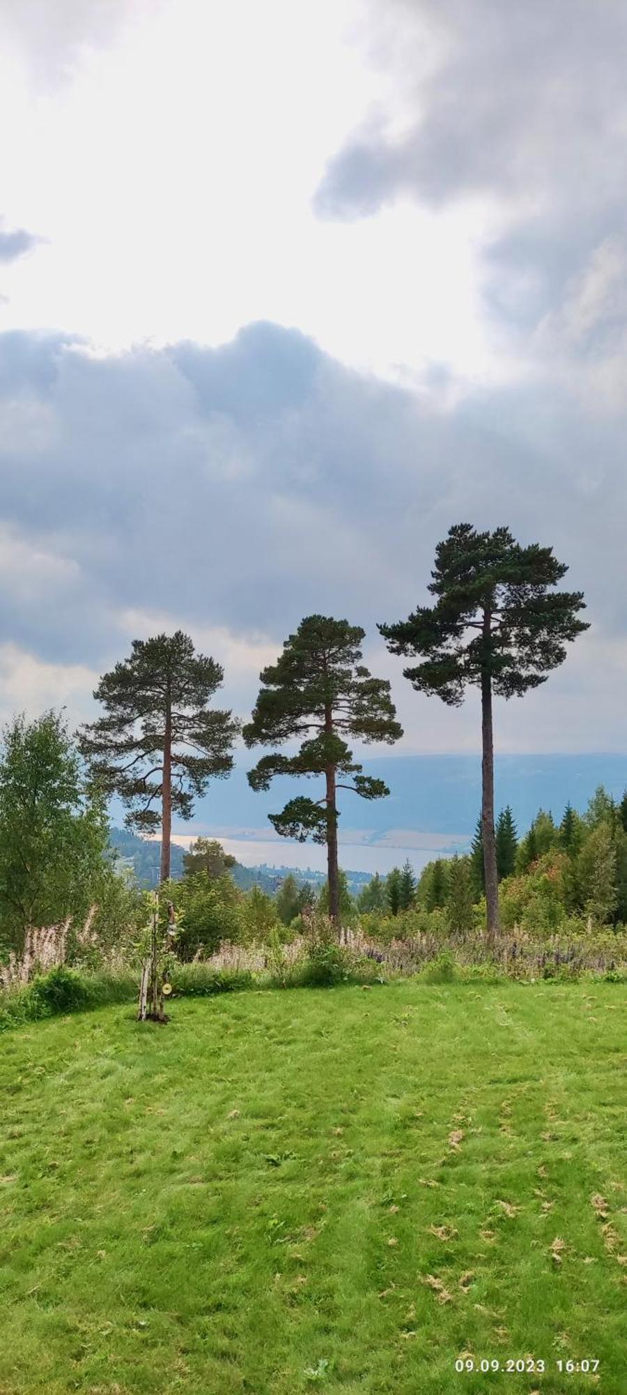 Nordgards Hagen Lägenhet Lillehammer Exteriör bild
