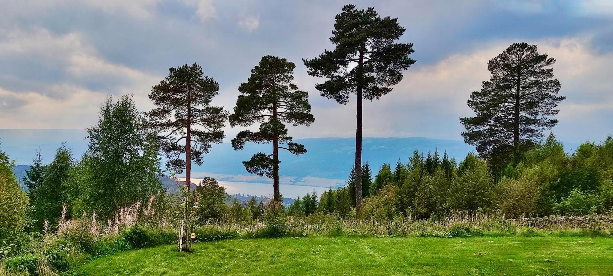 Nordgards Hagen Lägenhet Lillehammer Exteriör bild